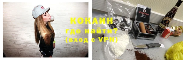 индика Белоозёрский