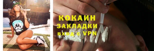 индика Белоозёрский