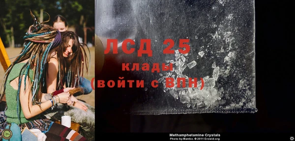 гидра Белокуриха