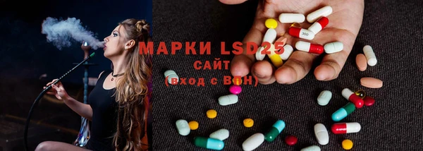 индика Белоозёрский