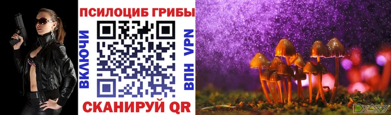 Галлюциногенные грибы Cubensis сайты даркнета официальный сайт Пикалёво магазин продажи наркотиков